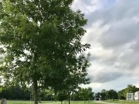 Mmc. Oportunidad Lote En Venta En Las Calandrias,