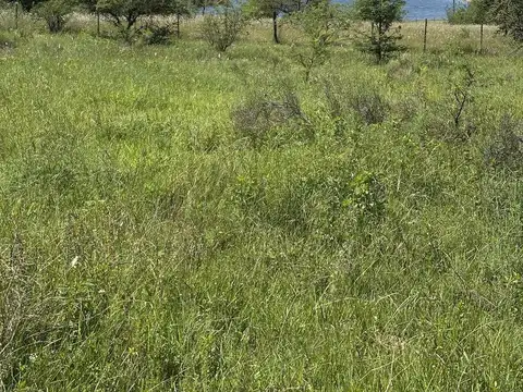 Terreno en Venta 50  mts Fondo