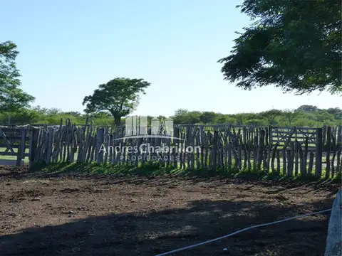 Excelente Campo Ganadero, Camino Rural A 30 Km. De Federal