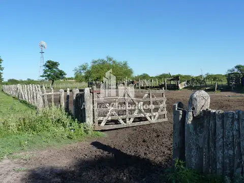 Excelente Campo Ganadero, Camino Rural A 30 Km. De Federal