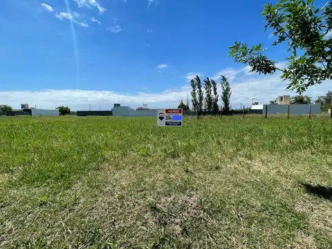 Lorenzo Forga, San Francisco 3000