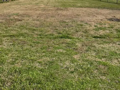 Terreno - Venta - Argentina, Pilar