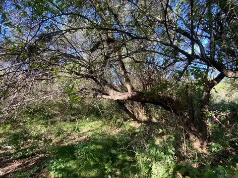 Terreno en Venta de 8700,0 m2