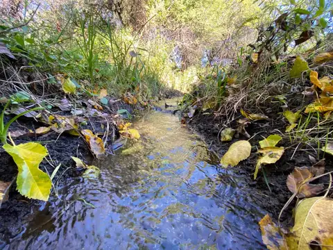 Terreno en Venta en Quebracho Ladeado, USD 25.000