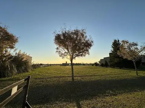 Ruta 2 km 90 - Lote 405