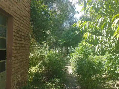 Oportunidad  Terreno o casa para refaccionar en Luján centro