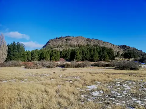 Av. Primeros Poblaores 200