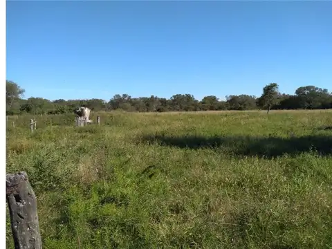 SE VENDE CAMPO GANADERO EN MARGARITA