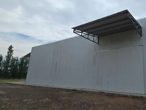 Galpon en Alquiler 100  mts Fondo