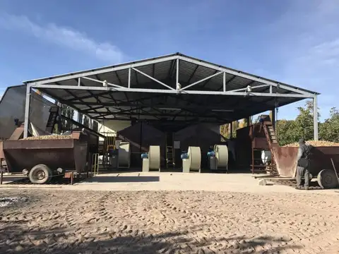 Campo Nogales. Sociedad Exportadora. Nueces Calidad Premium