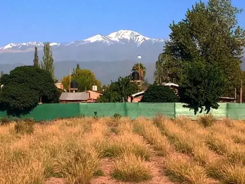 Terreno en Venta Lujan de Cuyo