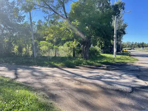 Terreno en Venta 46  mts Fondo