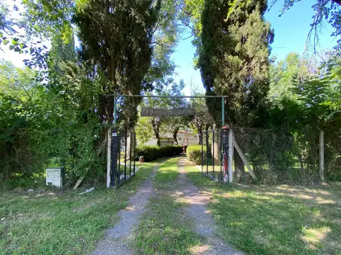 Juan Jose Paso al 1500