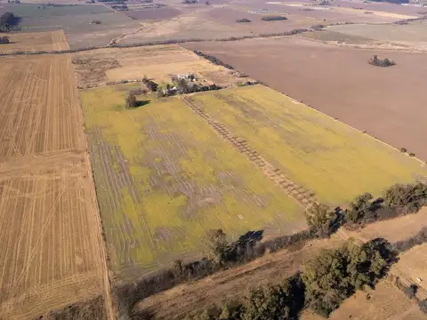 San Andres de Giles entorno rural