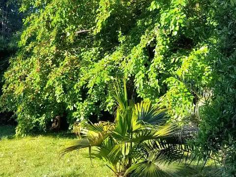 Terreno en Venta en Villa De Mayo, USD 116.000