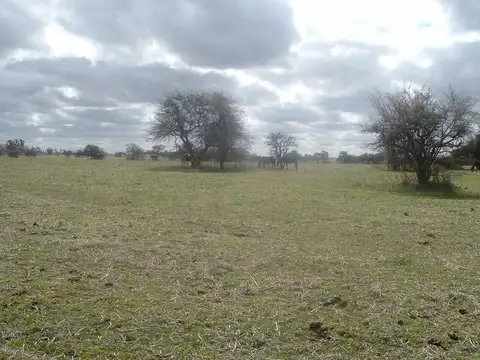 Campo en Venta con Alambrado