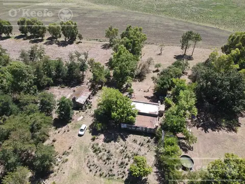 Campo mixto en venta de 60 Has A 2.5 km de  Loma Verde - Ranchos