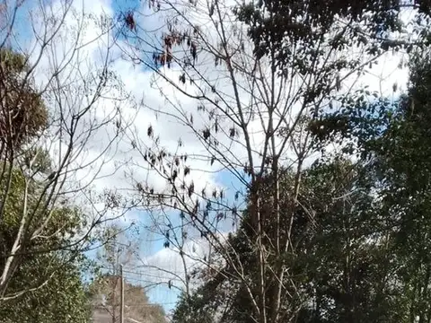 LOTE EN VENTA PILAR ESCRITURA FINANCIACION