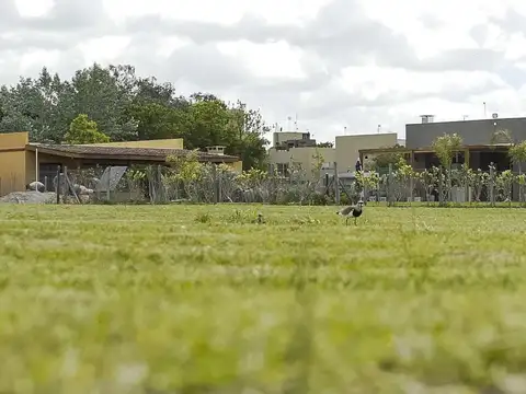 Terreno Lote  en Venta en El Aljibe, Pilar, G.B.A. Zona Norte
