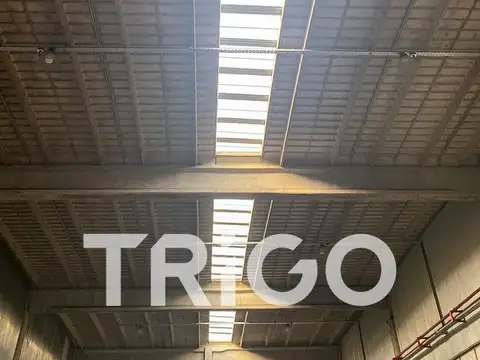 Galpon en Alquiler 10  mts Frente