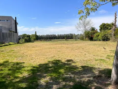 Terreno en venta - 1000Mts2 - Santa Catalina, Dique Luján, Tigre
