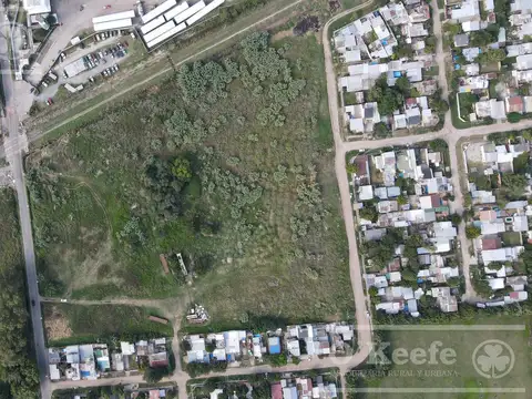 36.000 m2 - Lujan y Miguel Cane - Florencio Varela - INDUSTRIAL / COMERCIAL