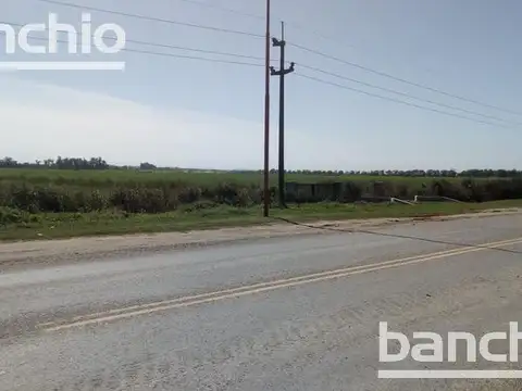 Campo - San Jose De La Esquina