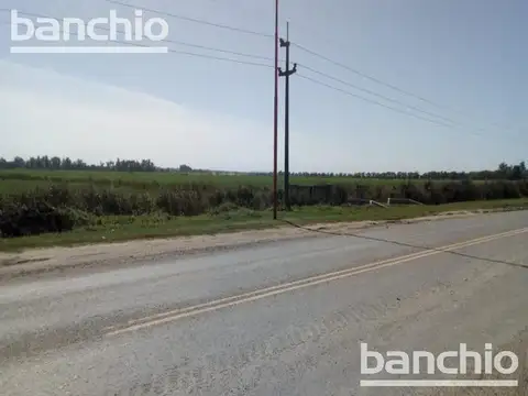 Campo - San Jose De La Esquina