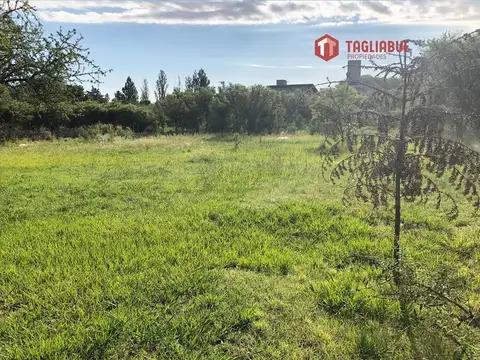 Terreno - Carpinteria - Gran Ubicacion