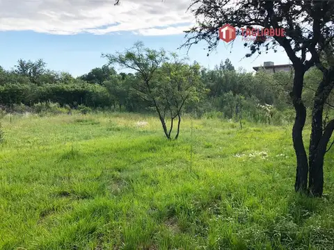 Terreno en Venta de 498,0 m2