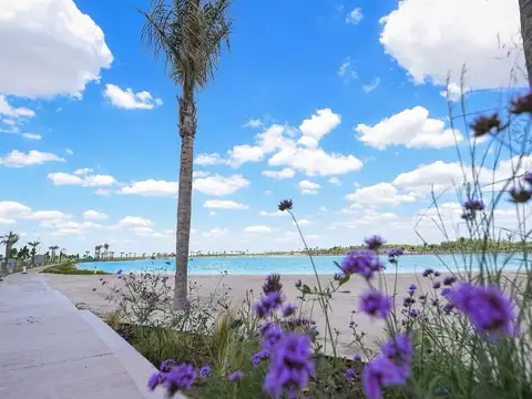 Pedro Rios Y Hernandez