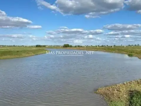 Terreno en Venta 35  mts Frente