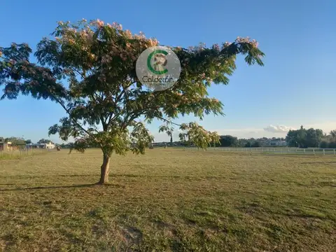 Lote en Venta  Barrio Cerrado Comarcas de Luján.