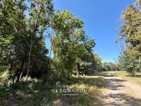 Terreno en Venta 14  mts Fondo