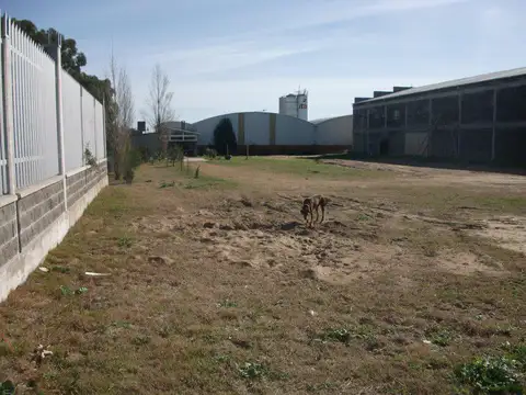 Terreno venta - galpón - casa 2 dormitaros 1 baño - 4326mts2 totales - General Madariaga