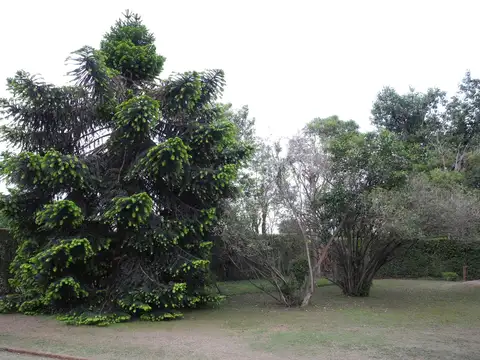 Quinta en Venta de 4 dormitorios