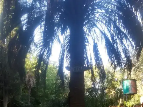 Terreno en Venta en Domselaar, USD 20.000