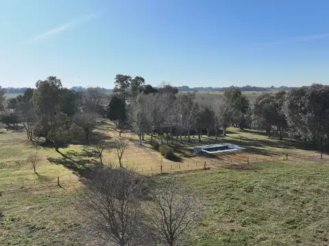 Campo en Venta de 84  ha