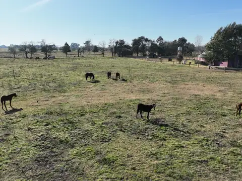 Campo en Venta de 84  ha