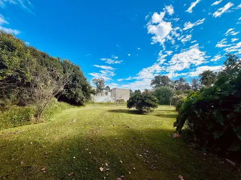 Buenos Aires al 1000