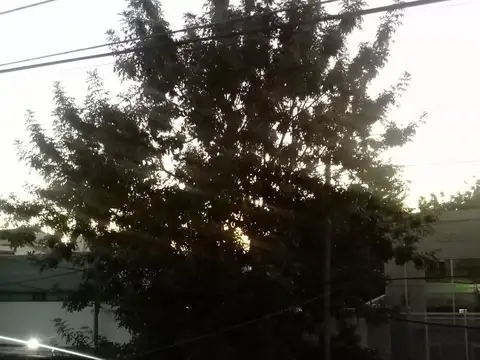 Terreno en Venta de 1400,0 m2