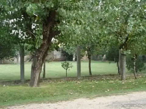 Terreno en Venta 60  mts Frente