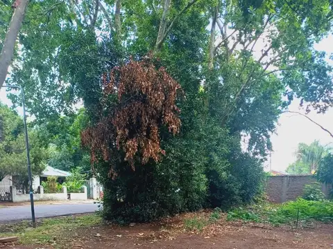 VENTA DE LOTE DE 522 M2 EN DON TORCUATO