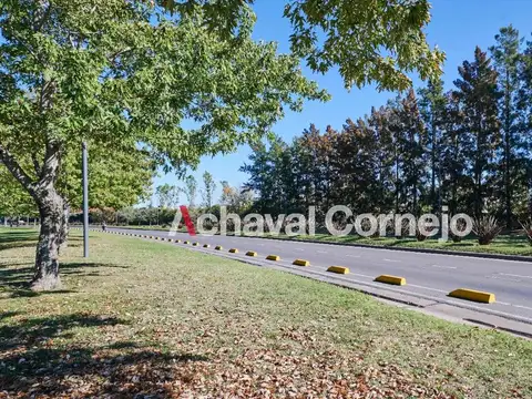 Silvestre- Lote interno