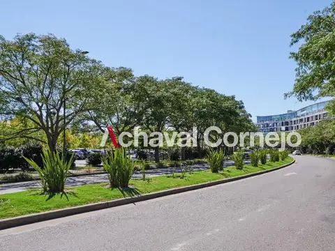 Silvestre- Lote interno