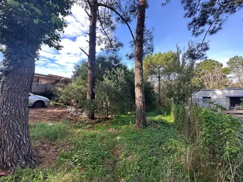 Cod 111 - Lote Lisboa