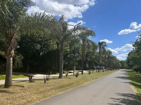 Terreno en Venta 37  mts Fondo