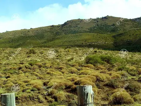 Campo 312 has - Arroyo del Medio, Bariloche, Rio Negro