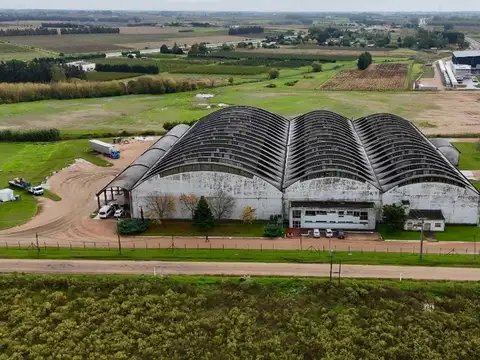 Galpon en Alquiler en Canelones, USD 32.000