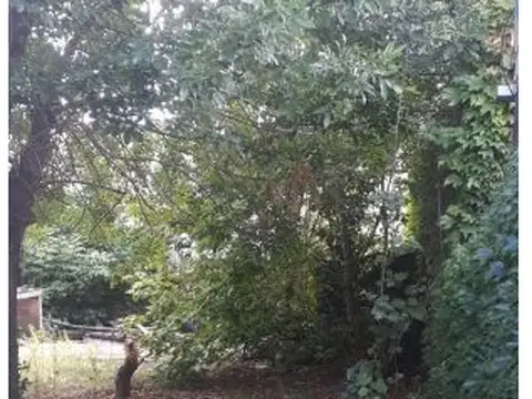 Darragueira 547 , Piso No definido